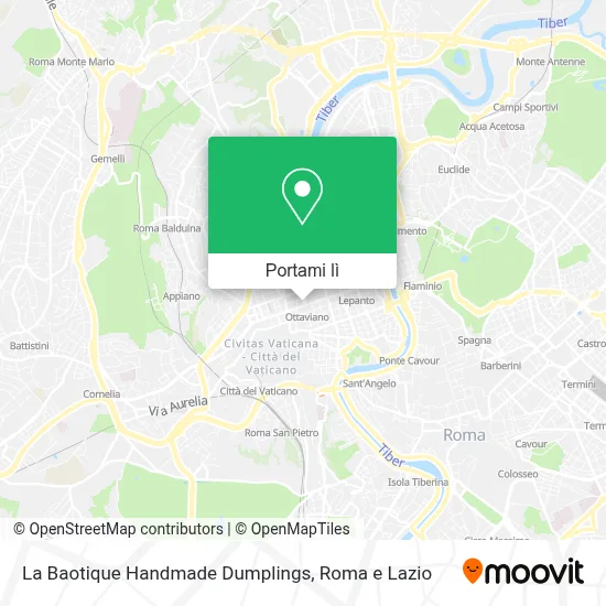 Mappa La Baotique Handmade Dumplings