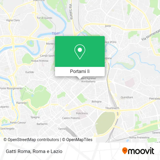 Mappa Gatti Roma