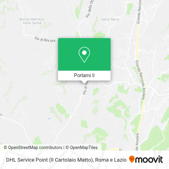 Mappa DHL Service Point (Il Cartolaio Matto)