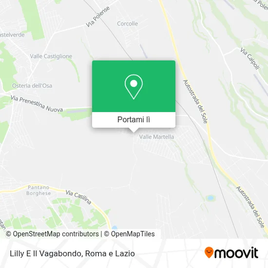 Mappa Lilly E Il Vagabondo