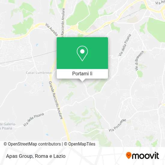Mappa Apas Group