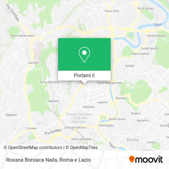 Mappa Roxana Boroaca Nails