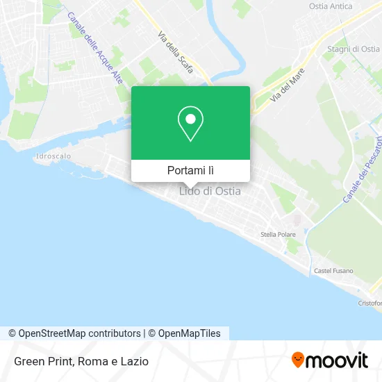 Mappa Green Print
