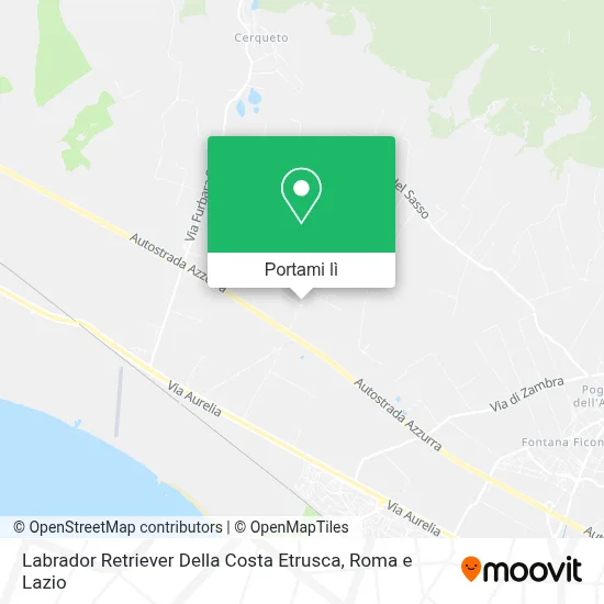 Mappa Labrador Retriever Della Costa Etrusca