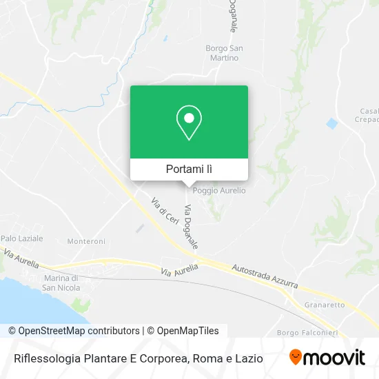 Mappa Riflessologia Plantare E Corporea