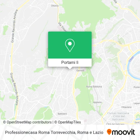Mappa Professionecasa Roma Torrevecchia