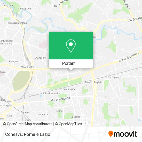 Mappa Conesys
