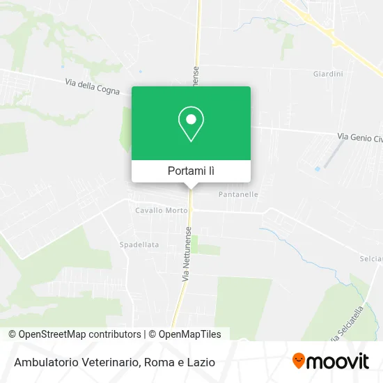 Mappa Ambulatorio Veterinario