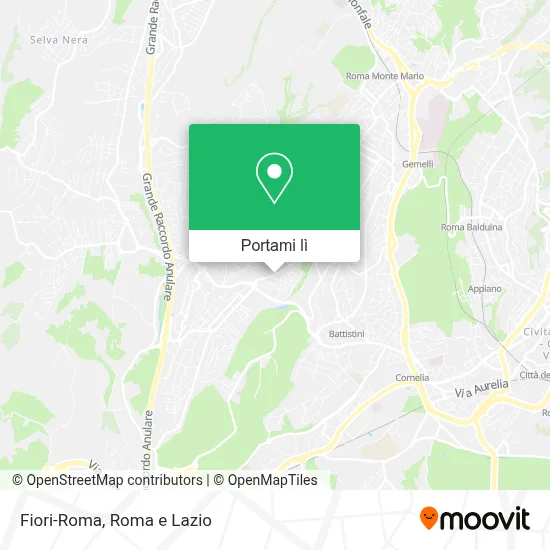 Mappa Fiori-Roma