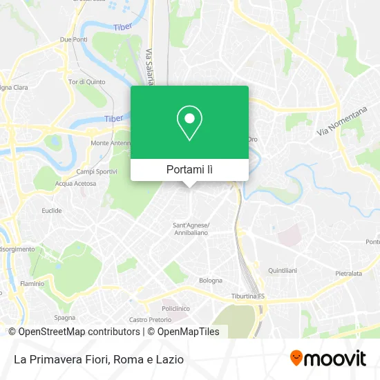 Mappa La Primavera Fiori