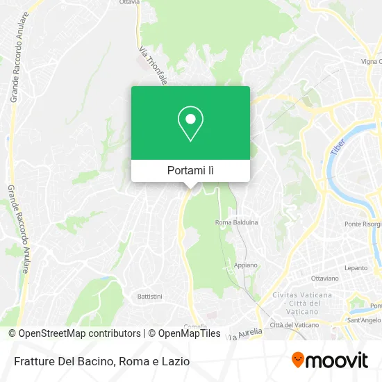 Mappa Fratture Del Bacino