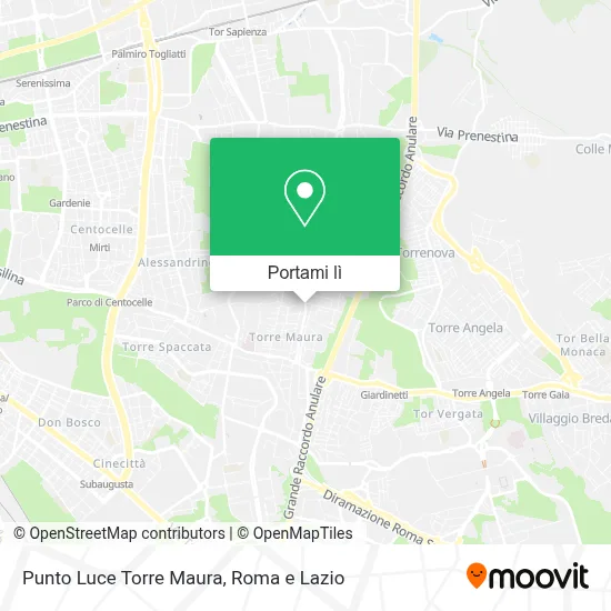 Mappa Punto Luce Torre Maura