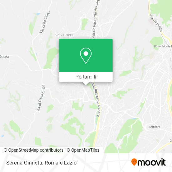 Mappa Serena Ginnetti