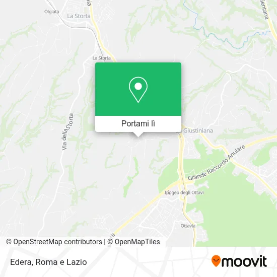 Mappa Edera