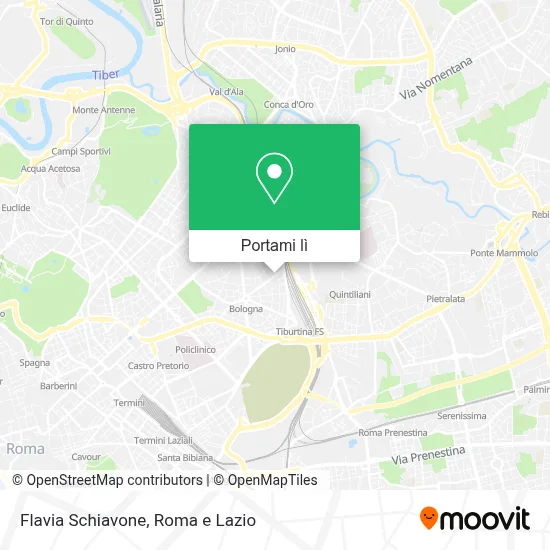 Mappa Flavia Schiavone
