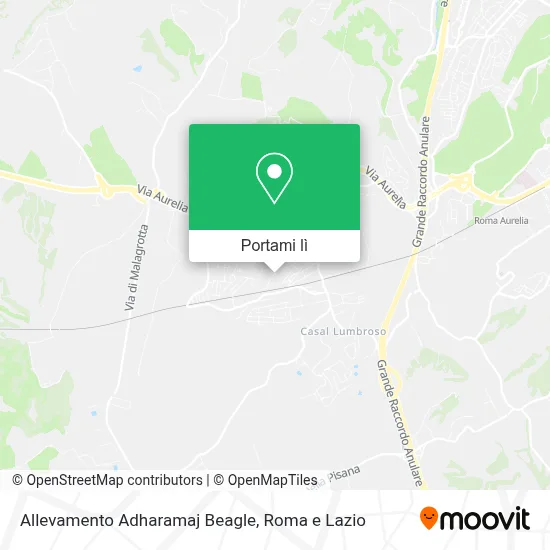 Mappa Allevamento Adharamaj Beagle