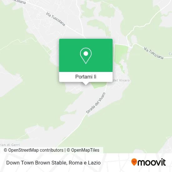 Mappa Down Town Brown Stable