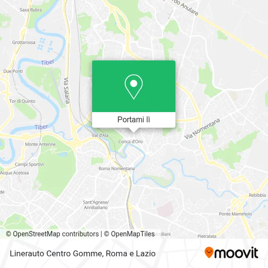 Mappa Linerauto Centro Gomme
