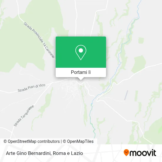 Mappa Arte Gino Bernardini