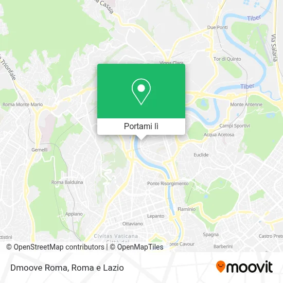 Mappa Dmoove Roma