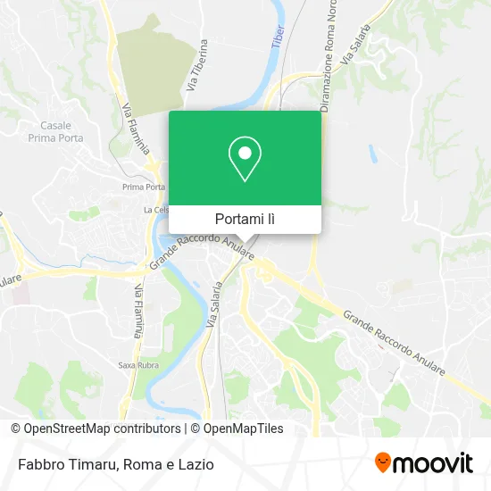 Mappa Fabbro Timaru