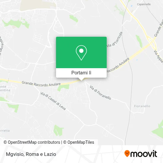 Mappa Mgvisio
