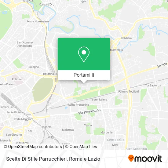 Mappa Scelte Di Stile Parrucchieri