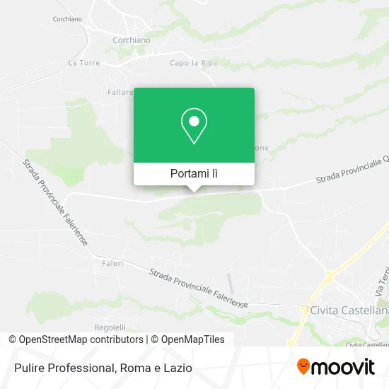 Mappa Pulire Professional