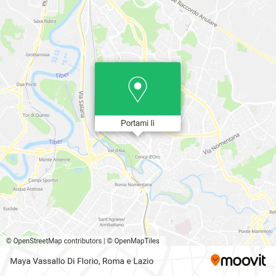 Mappa Maya Vassallo Di Florio