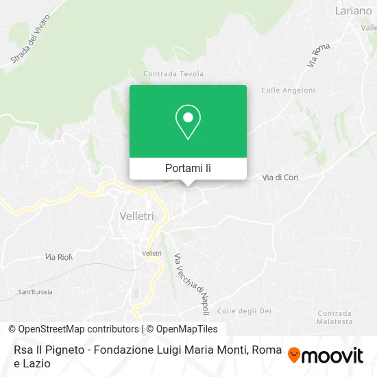 Mappa Rsa Il Pigneto - Fondazione Luigi Maria Monti