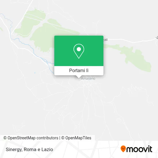 Mappa Sinergy