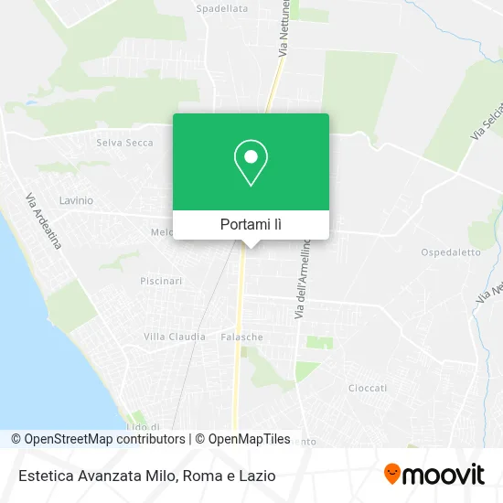 Mappa Estetica Avanzata Milo