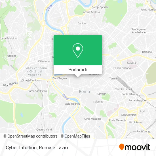 Mappa Cyber Intuition