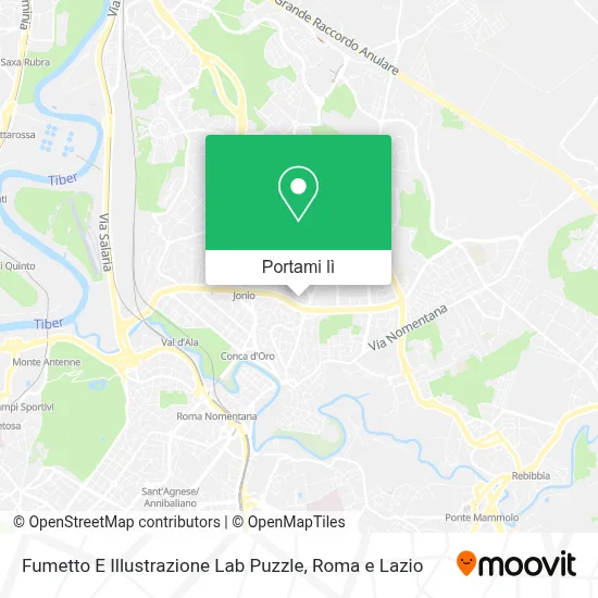 Mappa Fumetto E Illustrazione Lab Puzzle