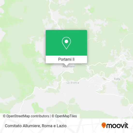 Mappa Comitato  Allumiere