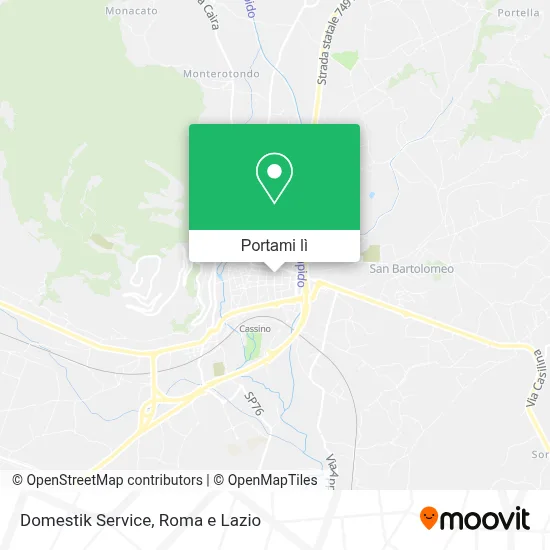 Mappa Domestik Service
