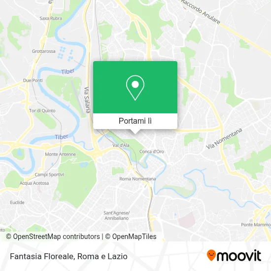 Mappa Fantasia Floreale