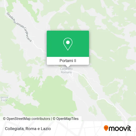 Mappa Collegiata