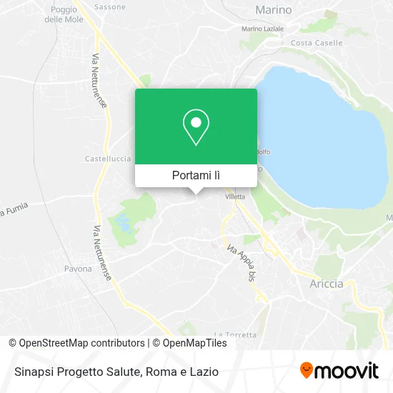 Mappa Sinapsi Progetto Salute