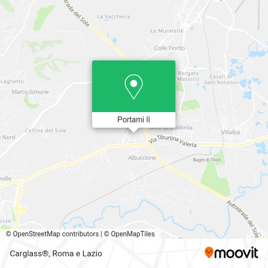Mappa Carglass®
