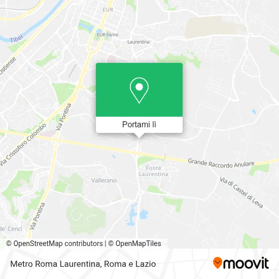 Mappa Metro Roma Laurentina
