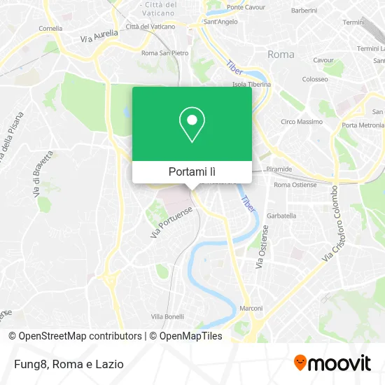 Mappa Fung8