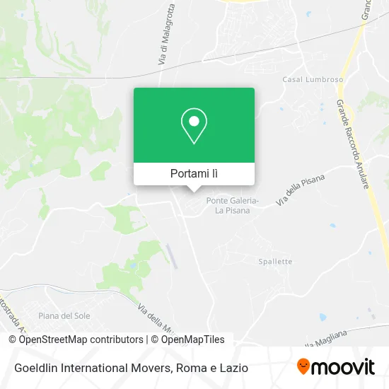 Mappa Goeldlin International Movers