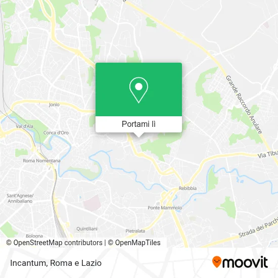 Mappa Incantum
