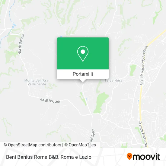 Mappa Beni Benius Roma B&B