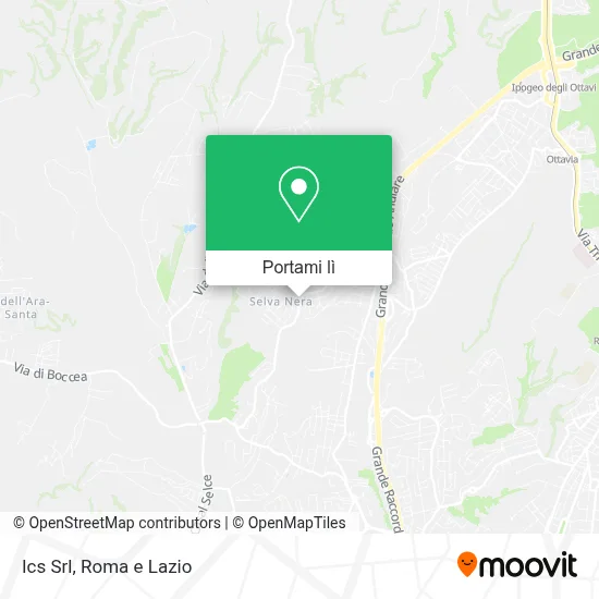 Mappa Ics Srl