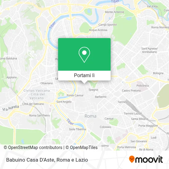 Mappa Babuino Casa D'Aste
