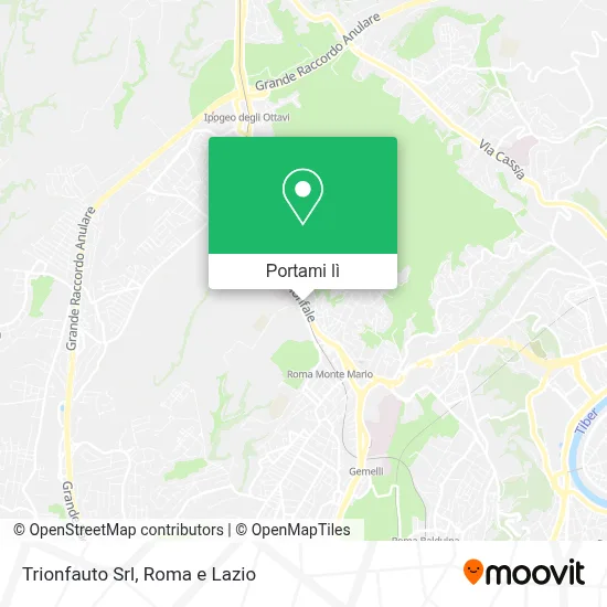 Mappa Trionfauto Srl