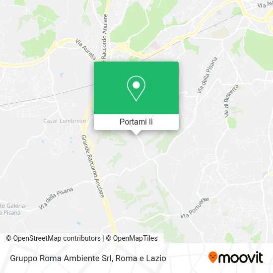 Mappa Gruppo Roma Ambiente Srl