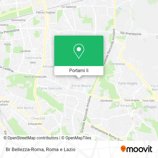 Mappa Br Bellezza-Roma